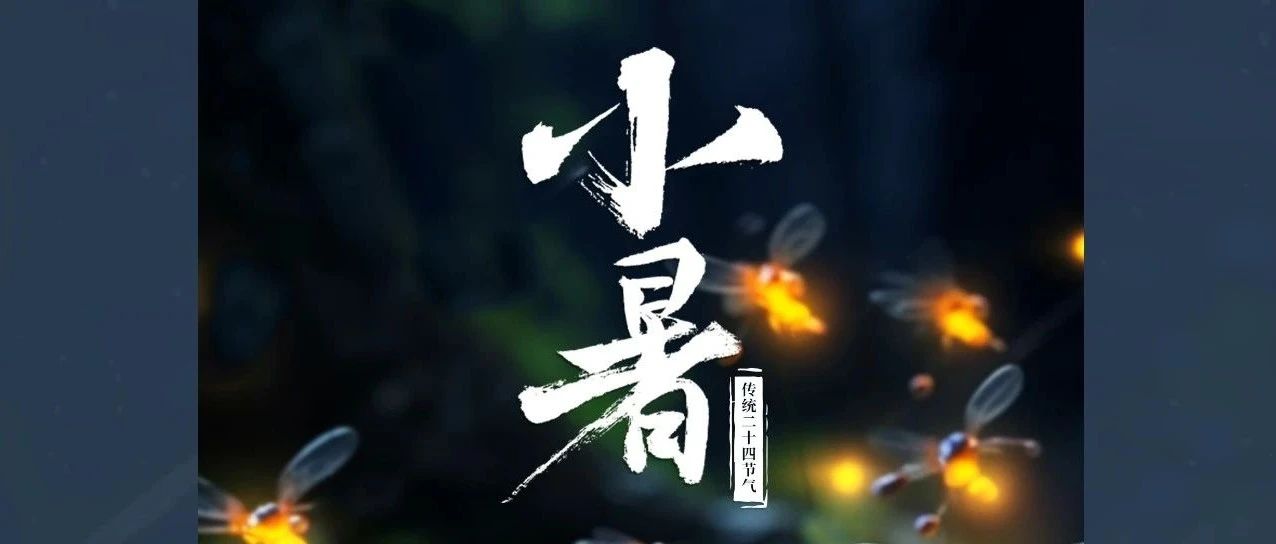 夏日鵬博燦爛時，與您共論好時光