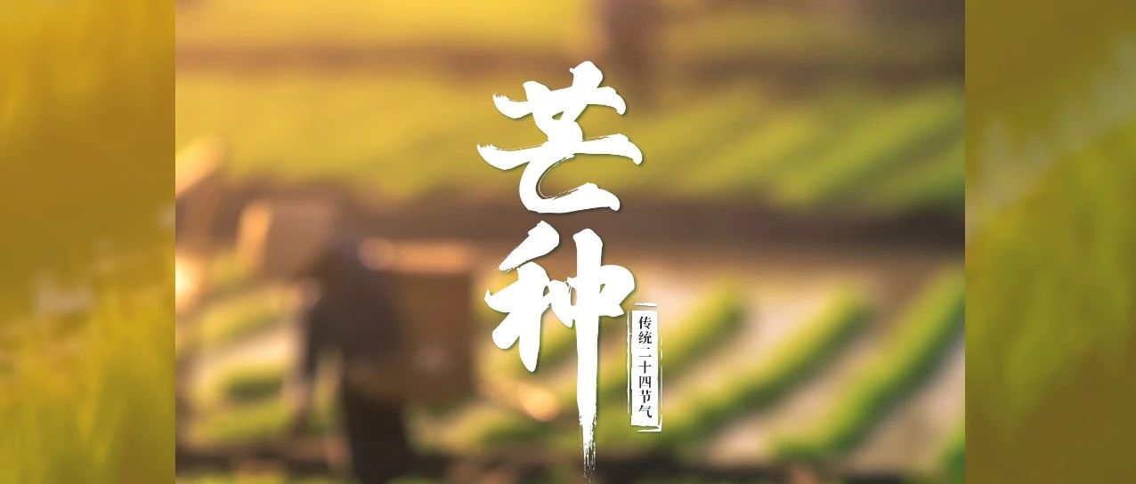 歲月不負(fù)耕耘，鐫刻美好豐碩