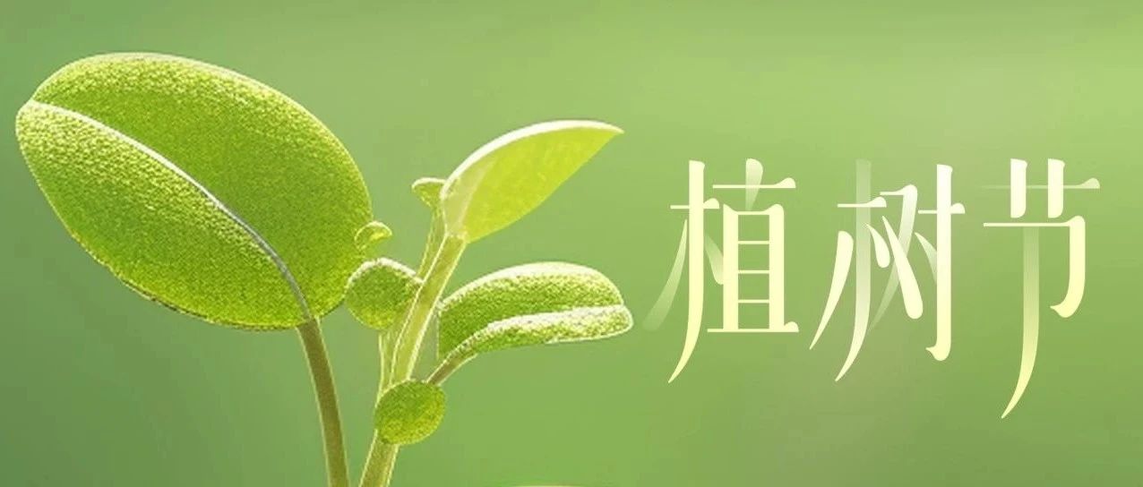 鵬博資訊 | 播散春意 煥發新生