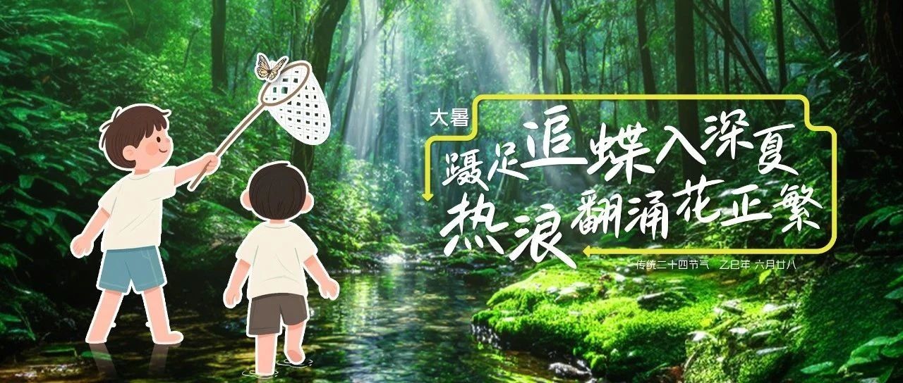 執光捕夏機，熱浪蘊商綻