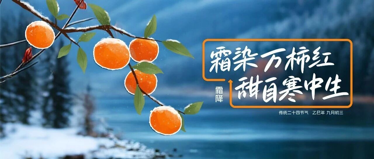 霜降|霜色已至，正是掛霜成金的季節