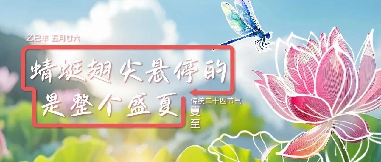 蜻蜒翅尖懸停的是整個盛夏