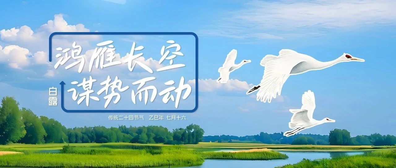白露|站在青黃交界線，聽見豐收拔節(jié)的聲音