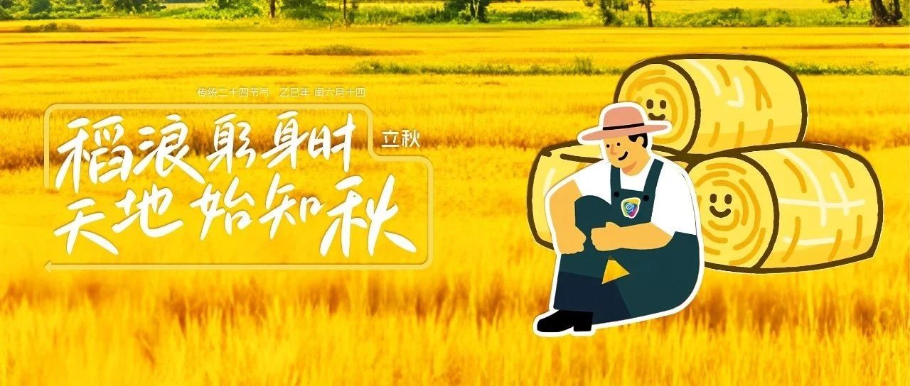 立秋|站在青黃交界線，聽見豐收拔節(jié)的聲音