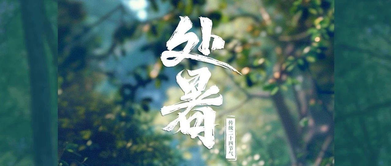 踏浪奔跑的盛夏，肆意撒歡的童年